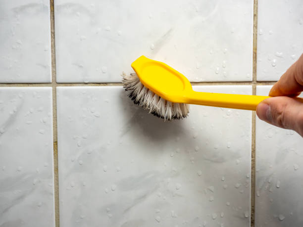 Best Mold Remediation Services  in Bnchard, LA